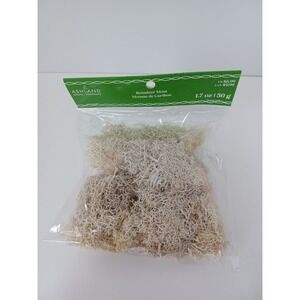 NEW Ashland Reindeer Moss‎ Arts Crafts 1.7 OZ DIY
